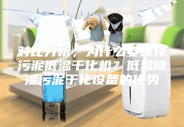 对比分析，为什么要选择污泥低温干化机？低温除湿污泥干化设备的优势