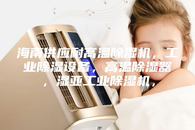 海南供应耐高温除湿机，工业除湿设备，高温除湿器，湿亚工业除湿机，