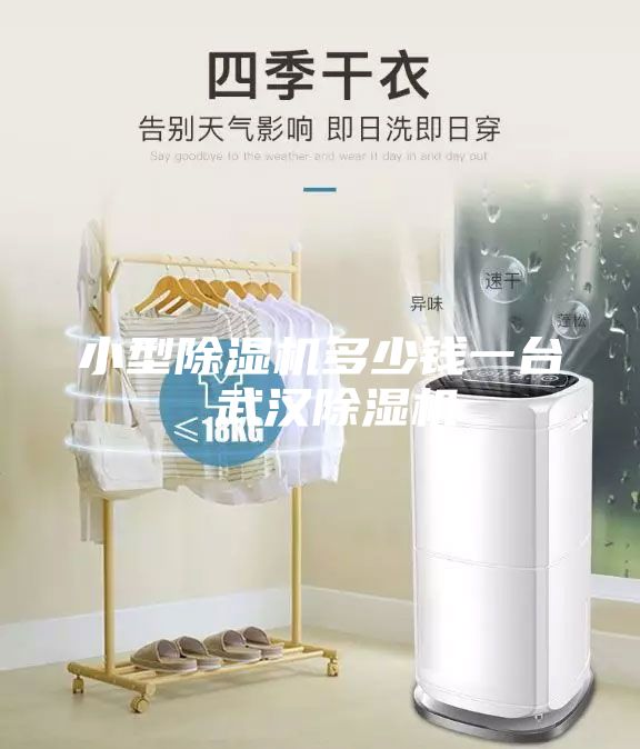 小型除湿机多少钱一台 武汉除湿机
