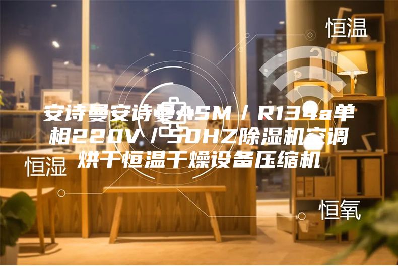 安诗曼安诗曼ASM／R134a单相220V／50HZ除湿机空调烘干恒温干燥设备压缩机