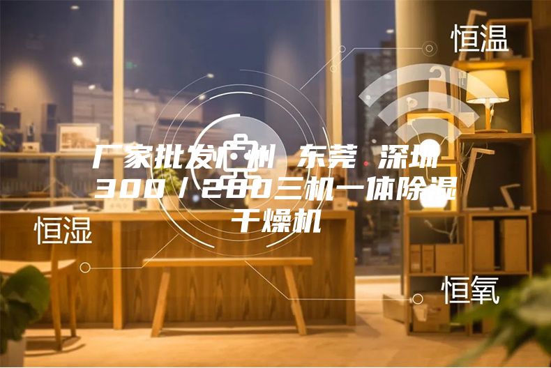 厂家批发广州 东莞 深圳 300／200三机一体除湿干燥机