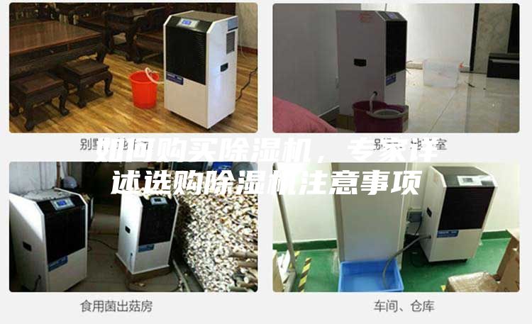 如何购买除湿机，专家详述选购除湿机注意事项