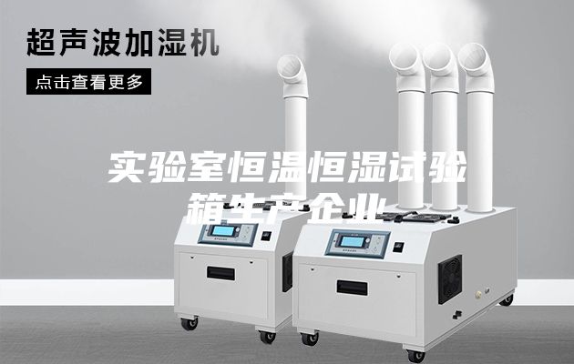 实验室恒温恒湿试验箱生产企业