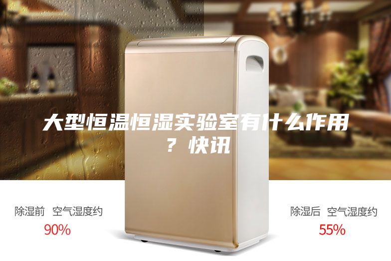 大型恒温恒湿实验室有什么作用？快讯