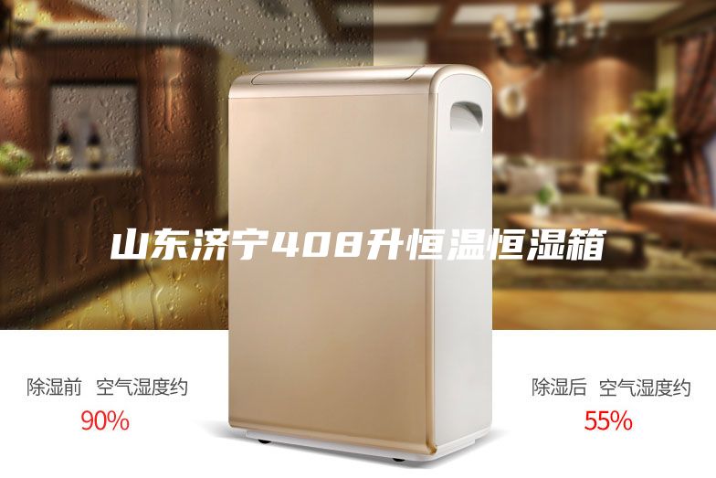 山东济宁408升恒温恒湿箱