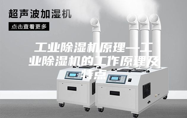 工业除湿机原理—工业除湿机的工作原理及特点