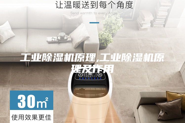 工业除湿机原理,工业除湿机原理及作用