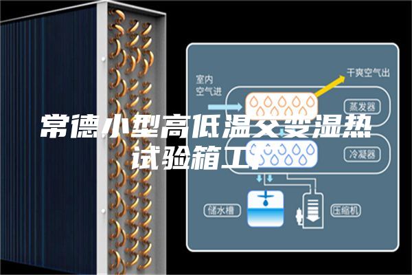 常德小型高低温交变湿热试验箱工厂