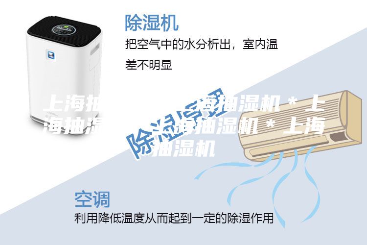 上海抽湿机*上海抽湿机*上海抽湿机*上海抽湿机*上海抽湿机