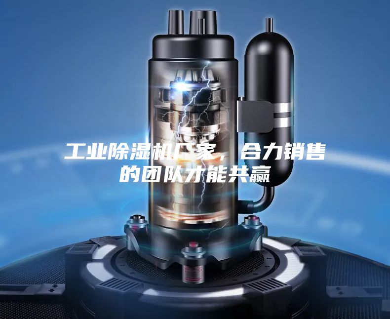 工业除湿机厂家，合力销售的团队才能共赢