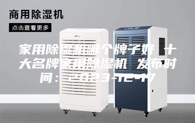 家用除湿机哪个牌子好 十大名牌家用除湿机 发布时间：2023-12-17