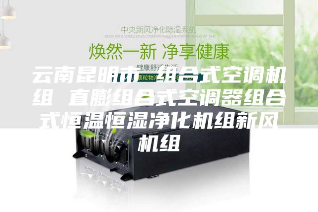 云南昆明市 组合式空调机组 直膨组合式空调器组合式恒温恒湿净化机组新风机组