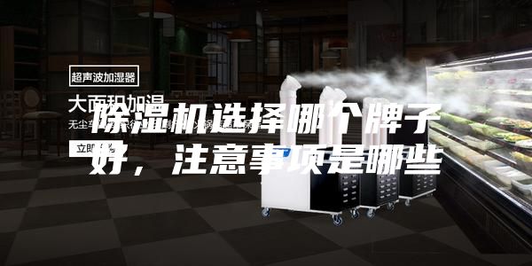 除湿机选择哪个牌子好，注意事项是哪些