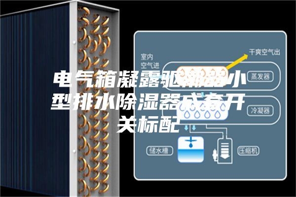 电气箱凝露驱潮器小型排水除湿器成套开关标配
