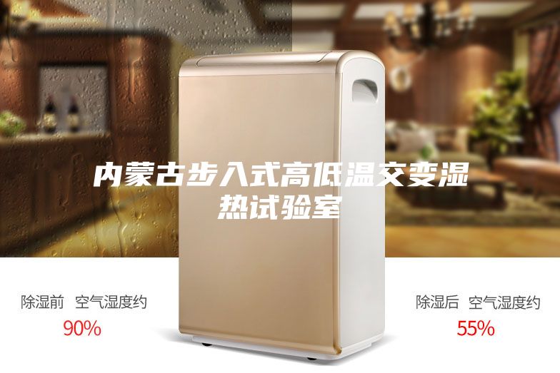 内蒙古步入式高低温交变湿热试验室