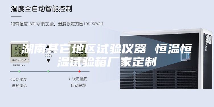 湖南其它地区试验仪器 恒温恒湿试验箱厂家定制