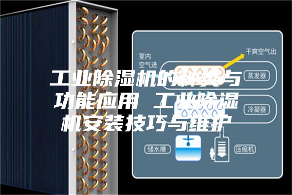 工业除湿机的种类与功能应用 工业除湿机安装技巧与维护