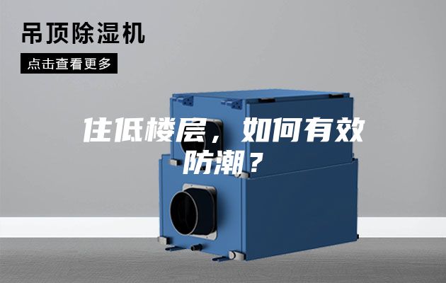 住低楼层，如何有效防潮？