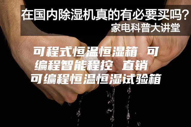 可程式恒温恒湿箱 可编程智能程控 直销 可编程恒温恒湿试验箱