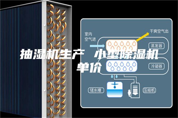 抽湿机生产 小型除湿机单价