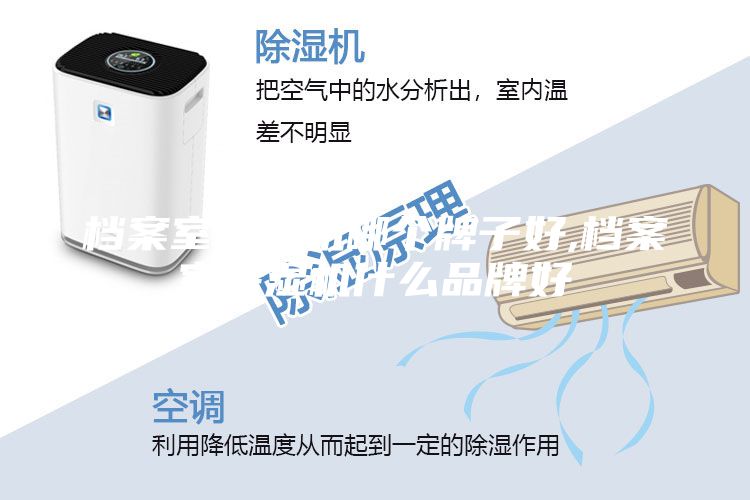 档案室除湿机哪个牌子好,档案室除湿机什么品牌好