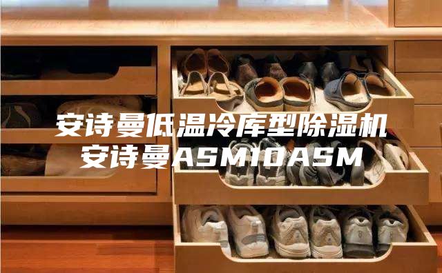 安诗曼低温冷库型除湿机安诗曼ASM10ASM