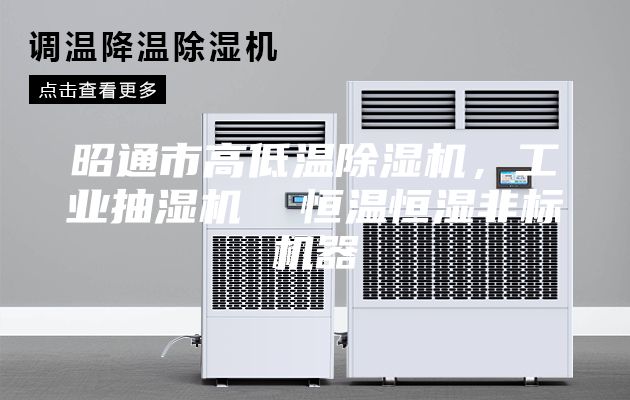 昭通市高低温除湿机，工业抽湿机  恒温恒湿非标机器