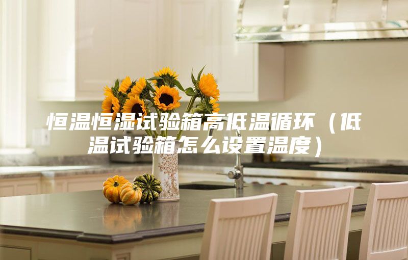 恒温恒湿试验箱高低温循环（低温试验箱怎么设置温度）