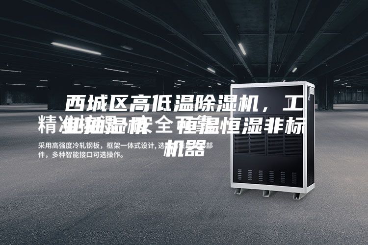 西城区高低温除湿机，工业抽湿机  恒温恒湿非标机器