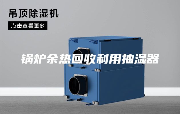 锅炉余热回收利用抽湿器