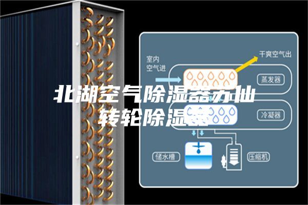 北湖空气除湿器苏仙转轮除湿器
