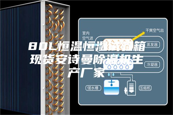 80L恒温恒湿试验箱现货安诗曼除湿机生产厂家