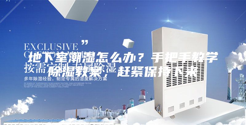 地下室潮湿怎么办？手把手教学除湿教案，赶紧保持下来