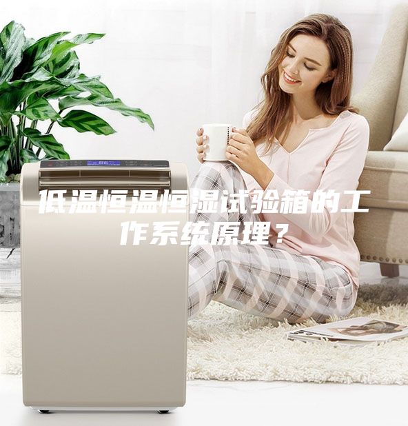 低温恒温恒湿试验箱的工作系统原理？