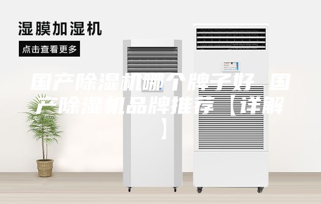国产除湿机哪个牌子好 国产除湿机品牌推荐【详解】