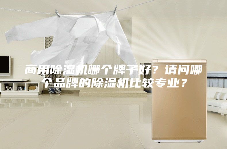 商用除湿机哪个牌子好？请问哪个品牌的除湿机比较专业？