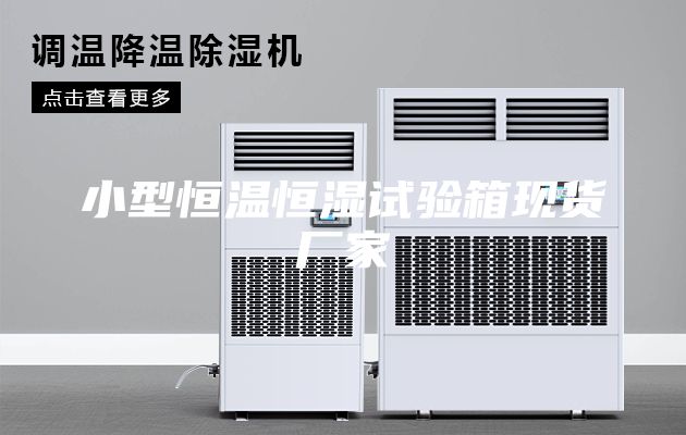 小型恒温恒湿试验箱现货厂家