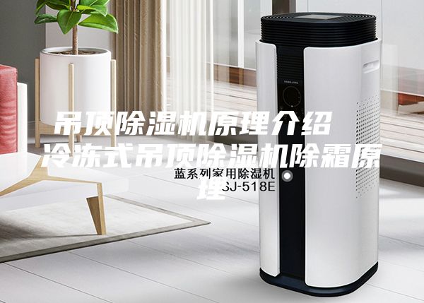 吊顶除湿机原理介绍  冷冻式吊顶除湿机除霜原理