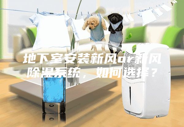 地下室安装新风or新风除湿系统，如何选择？