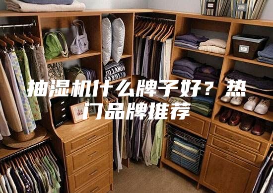抽湿机什么牌子好？热门品牌推荐