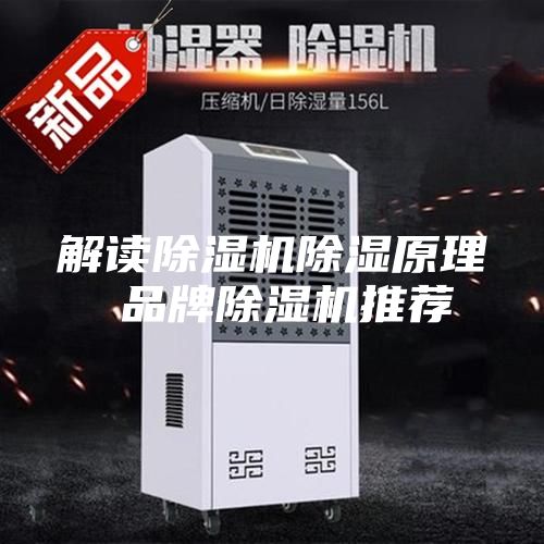 解读除湿机除湿原理 品牌除湿机推荐