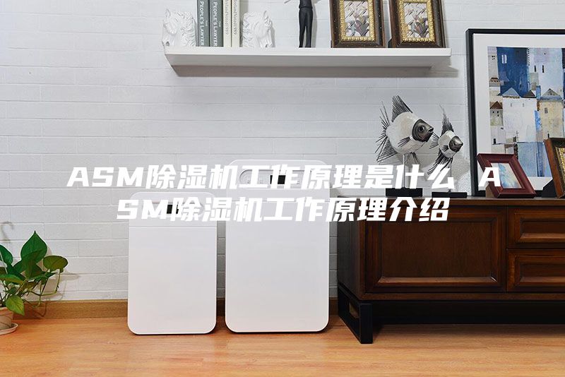 ASM除湿机工作原理是什么 ASM除湿机工作原理介绍