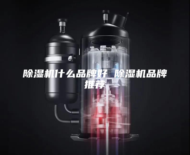 除湿机什么品牌好 除湿机品牌推荐
