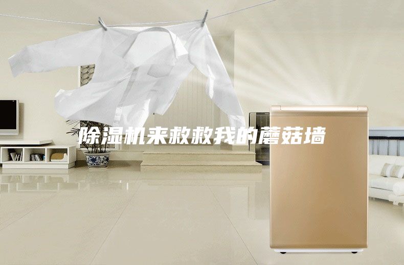 除湿机来救救我的蘑菇墙