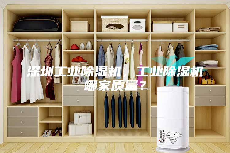 深圳工业除湿机，工业除湿机哪家质量？