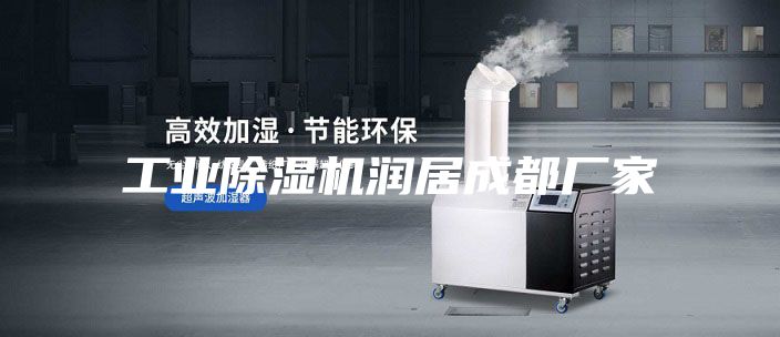 工业除湿机润居成都厂家
