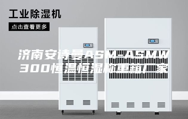 济南安诗曼ASM-ASMW300恒温恒湿称重箱厂家
