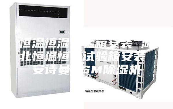 恒温恒湿试验箱安装 湖北恒温恒湿试验箱安装 安诗曼ASM除湿机