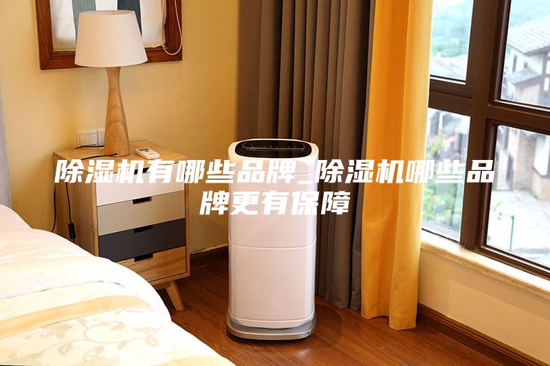 除湿机有哪些品牌_除湿机哪些品牌更有保障