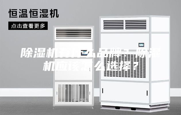 除湿机有什么品牌？除湿机应该怎么选择？